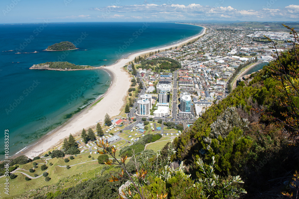 Omanu Beach viewed from the top of Mount Maunganui, Bay of Plenty, North Island New Zealand