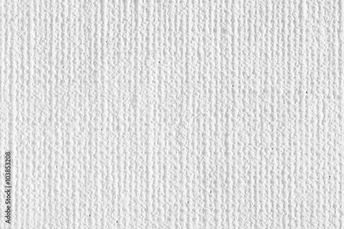 White canvas texture.