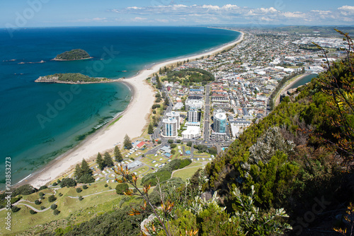 Omanu Beach viewed from the top of Mount Maunganui, Bay of Plenty, North Island New Zealand © ventura