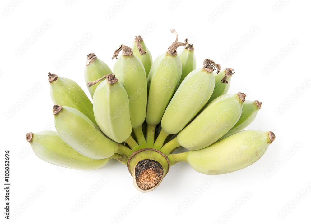 green Cultivated banana green Cultivated banana
