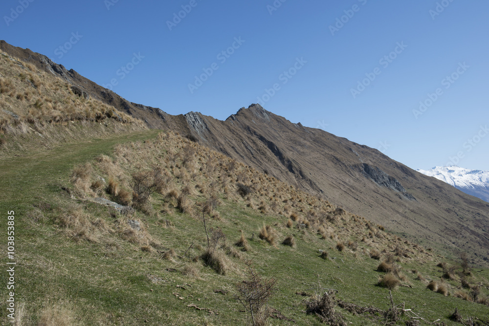 Sendero en campos verdes con montañas, Isla Sur de Nueva Zelanda