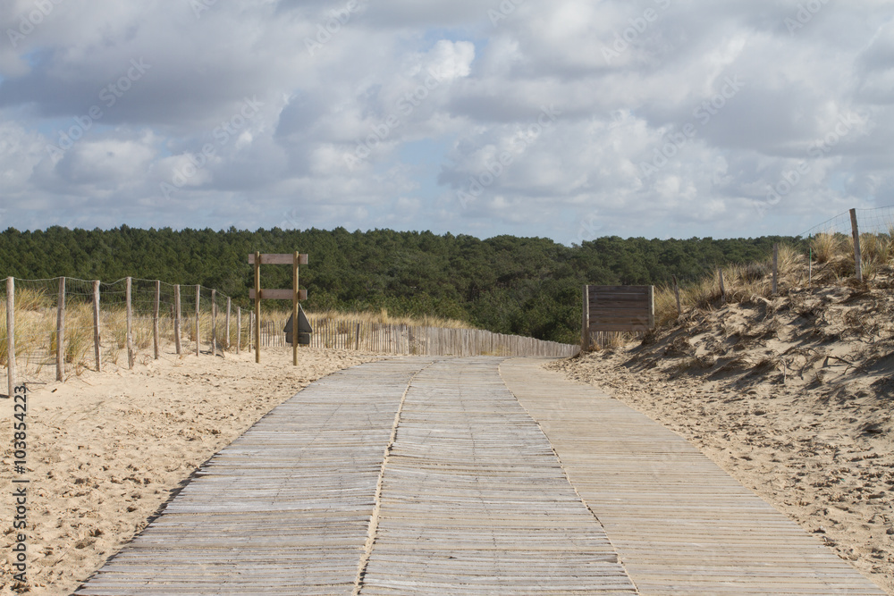 Wooden white path to the beach of the ocean