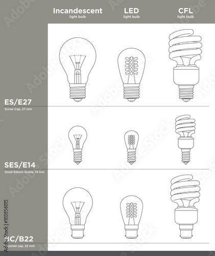 Light Bulbs