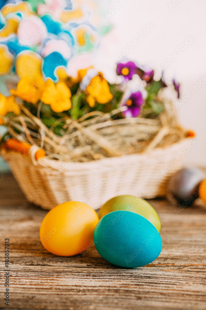 Easter composition with easter eggs and flowers Easter composition with easter eggs and flowers