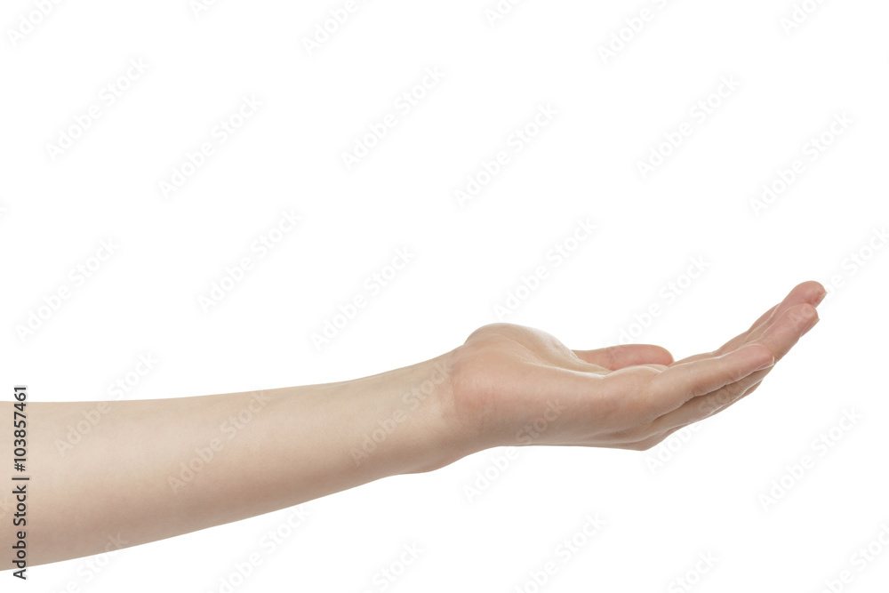 empty young female hand to hold something, isolated on white background empty young female hand to hold something, isolated on white background