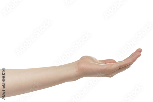 empty young female hand to hold something, isolated on white background © GCapture