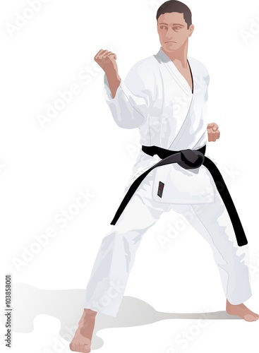 Karate photo