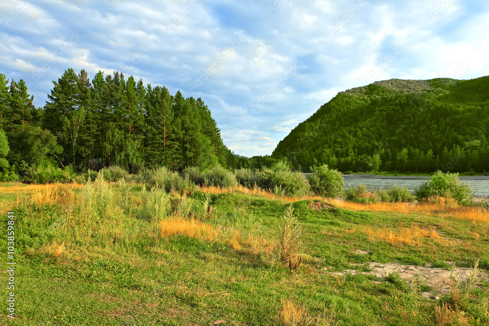 Obraz premium Mountain landscape with river and forest