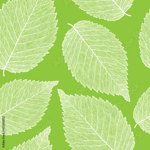 leaf skeleton pattern