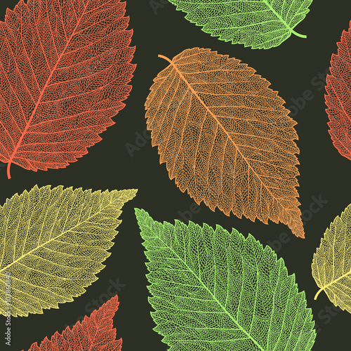 leaf skeleton pattern