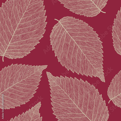 leaf skeleton pattern