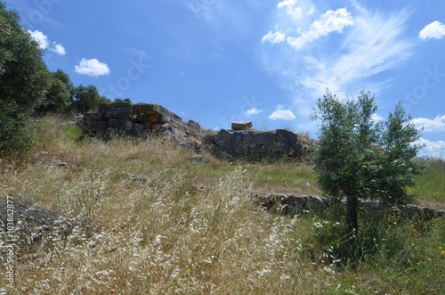 Heraion of Argos photo