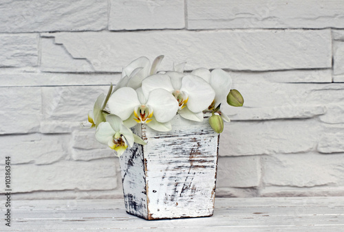 Fototapeta Naklejka Na Ścianę i Meble -  Orchideen in einer Vase