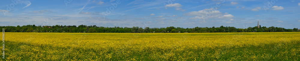 Hemmingford water meadow covered in wild flowers. Hemmingford water meadow covered in wild flowers.