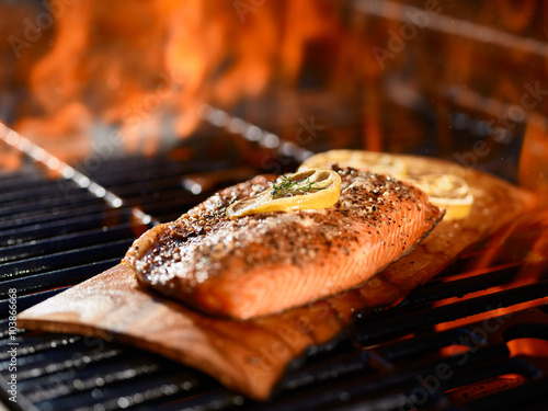 Photography seasoned salmon fillet cooking on cedar plank over grill