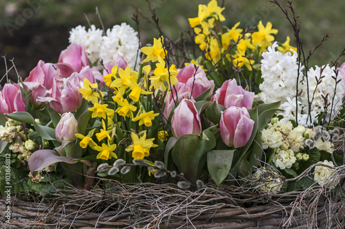 Fototapeta Naklejka Na Ścianę i Meble -  Korb mit Frühjahrsblumen