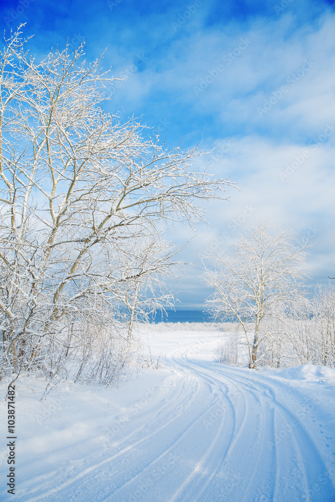 Obraz premium Baltic Sea in winter.