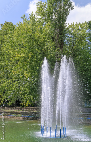 Fototapeta Naklejka Na Ścianę i Meble -  Fountain on background of trees