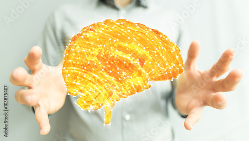 brain