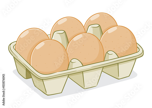 Vector Illustration of Eggs In a Carton