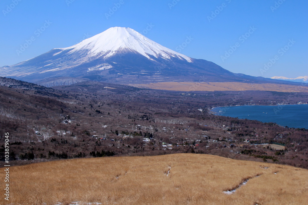 パノラマ台から見た富士山