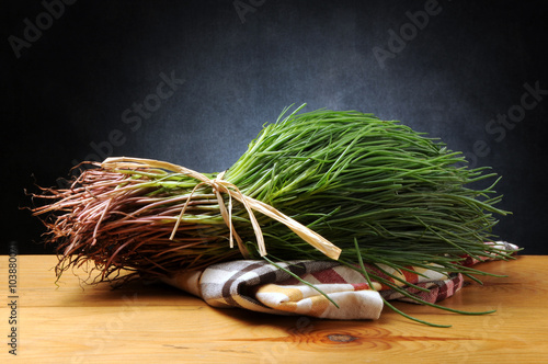 Foto Salsola soda Salicorn fi 苏打猪毛菜 Barba di frate Săricică Salsola de Sevilla Barba