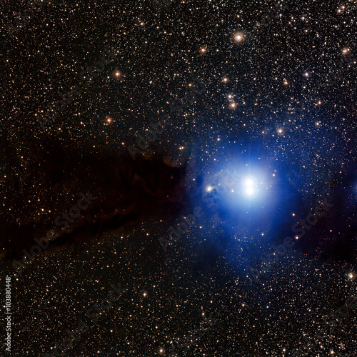 Fototapeta Naklejka Na Ścianę i Meble -  Stars nebula in space. Elements of this image furnished by NASA