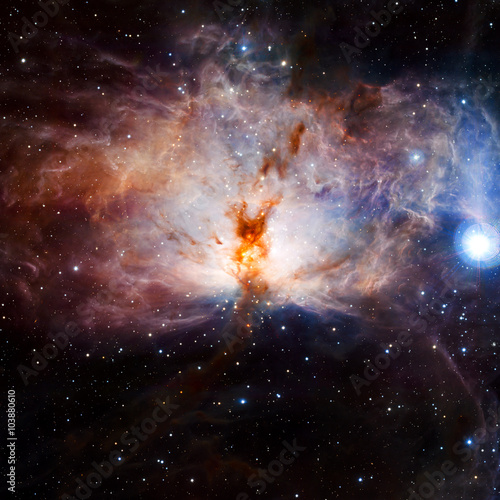 Fototapeta Naklejka Na Ścianę i Meble -  Stars nebula in space. Elements of this image furnished by NASA