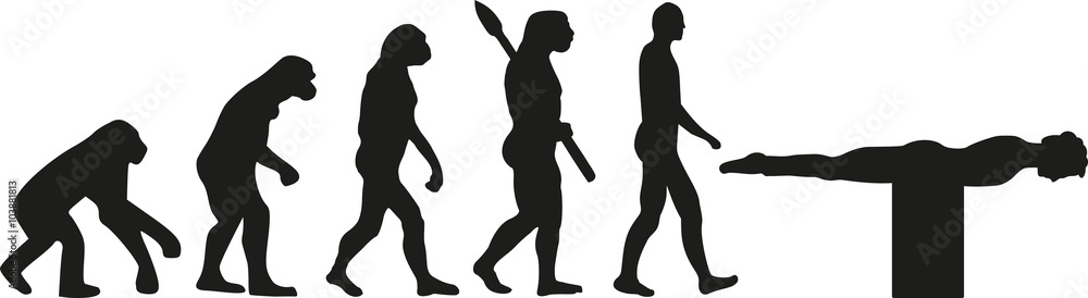 Planking evolution Planking evolution