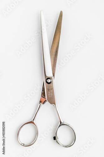 Canvas Print はさみ