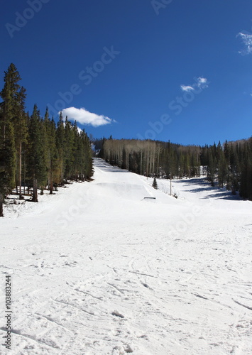 Ski Slope – Ski slope with tall green pine trees and jumps © dcorneli