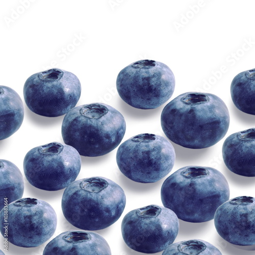 blueberries on white background 