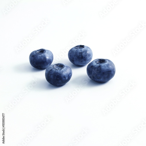 blueberries on white background 