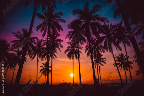 Silhouette coconut palm trees on beach at sunset. Vintage tone. © nuttawutnuy