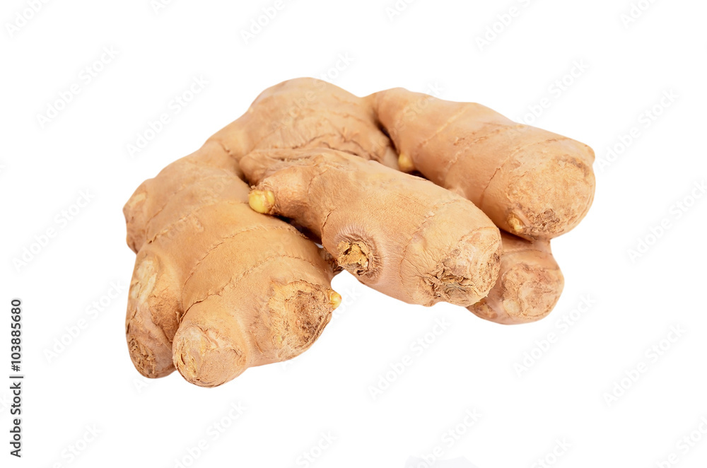 Ginger Ginger
