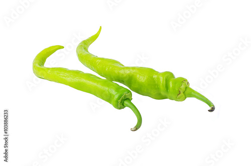 Green cayenne chili pepper photo