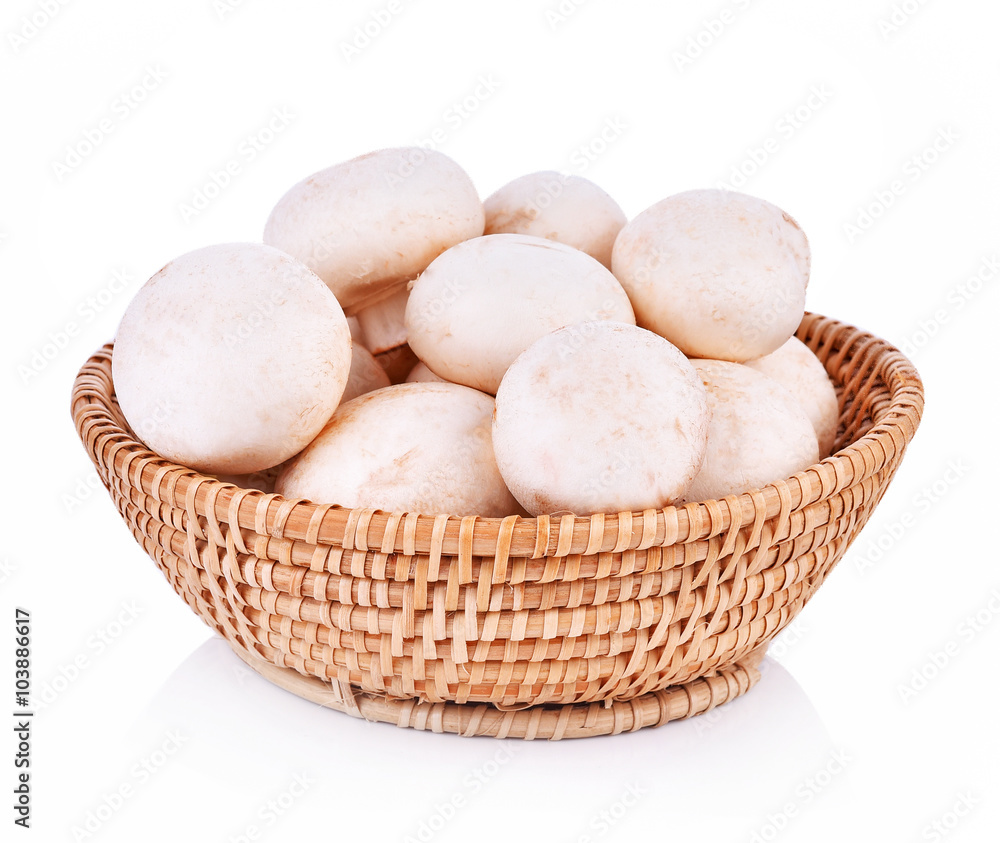 Agaricus bisporus mushrooms basket on white background Agaricus bisporus mushrooms basket on white background