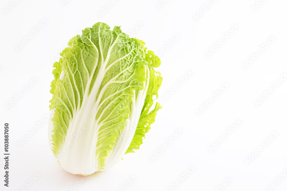 新鮮な白菜 新鮮な白菜