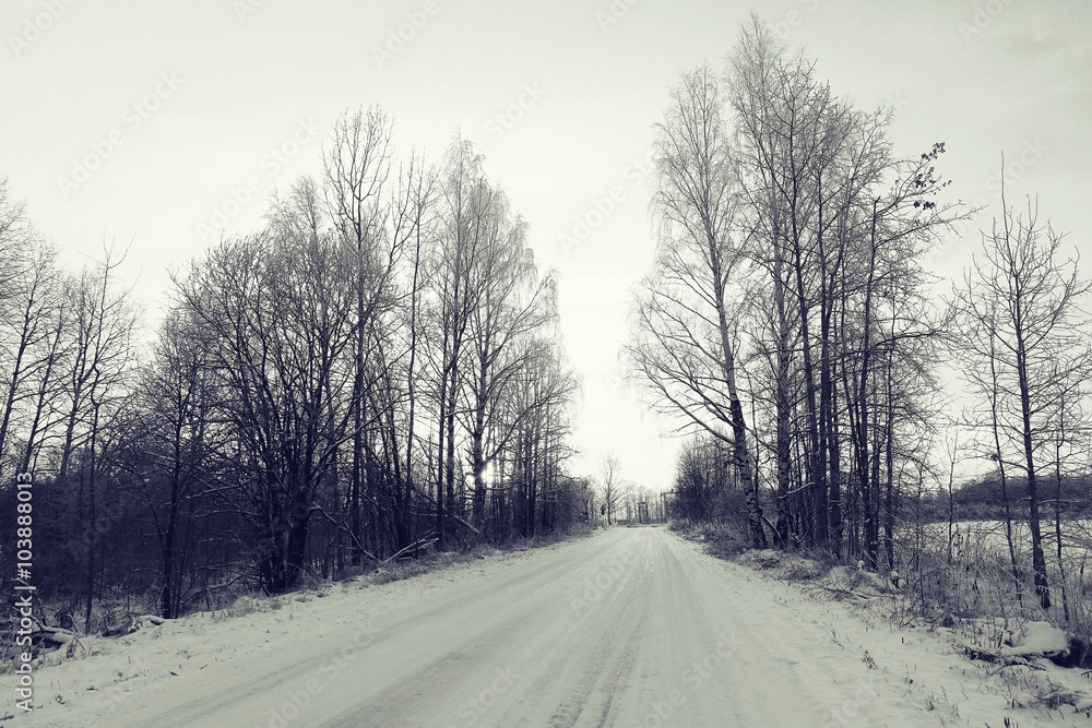 black white winter frost nature background black white winter frost nature background