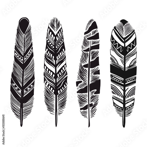 Cartoon feathers