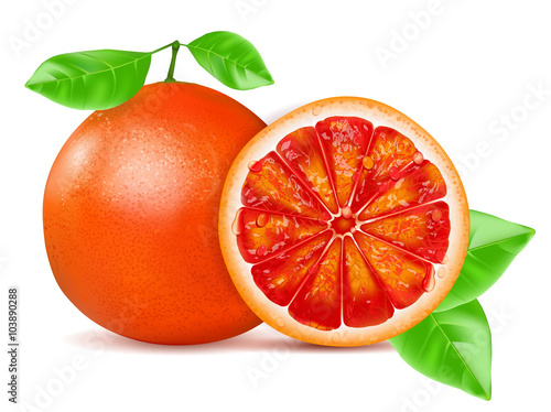 Red grapefruit slice with leaf isolated on white background. Vector illustration.