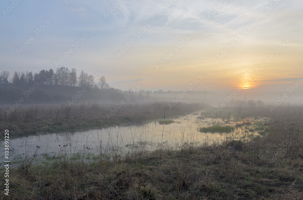 Fototapeta premium flooded meadow in the spring