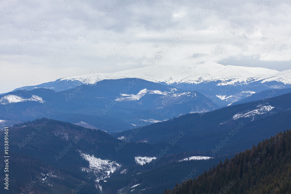 Fototapeta premium Carpathian mountains in winter