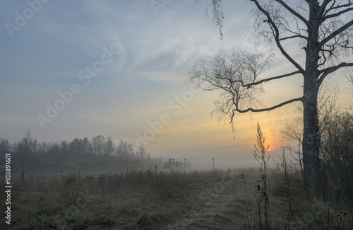 Misty spring morning © valeriy boyarskiy
