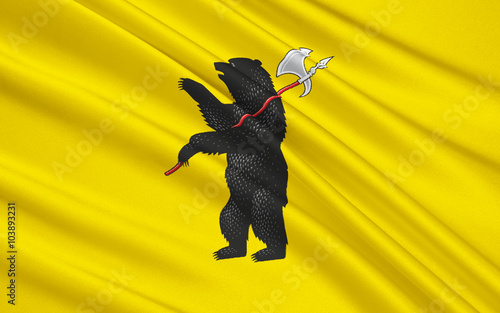 Flag of Yaroslavl Oblast, Russian Federation photo