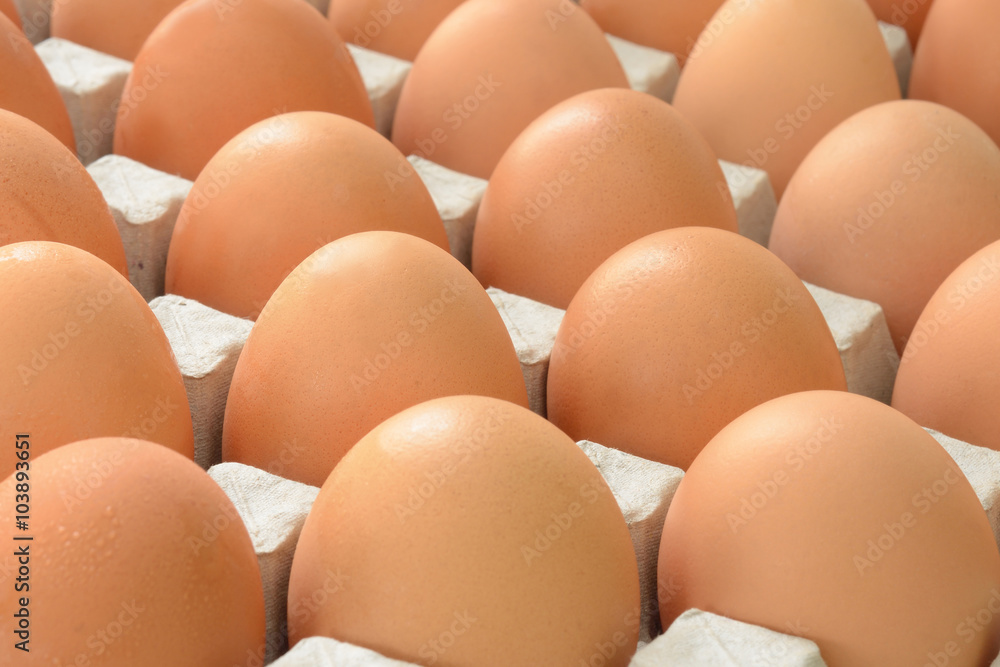 Egg in tray Egg in tray
