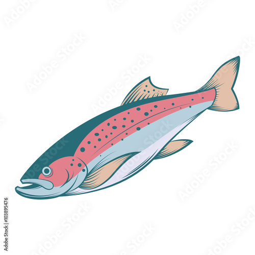 Colourful line trout