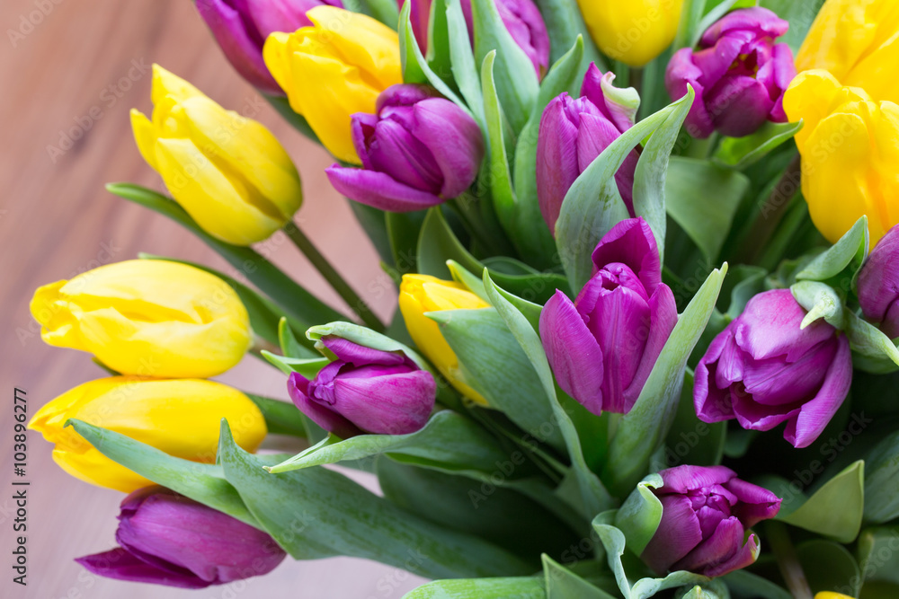Purple and yellow tulip bouquet. More tulip on the grey backgrou Purple and yellow tulip bouquet. More tulip on the grey backgrou