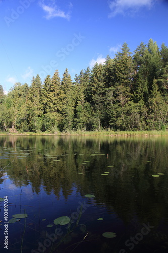 Nature in Russia, year 2015