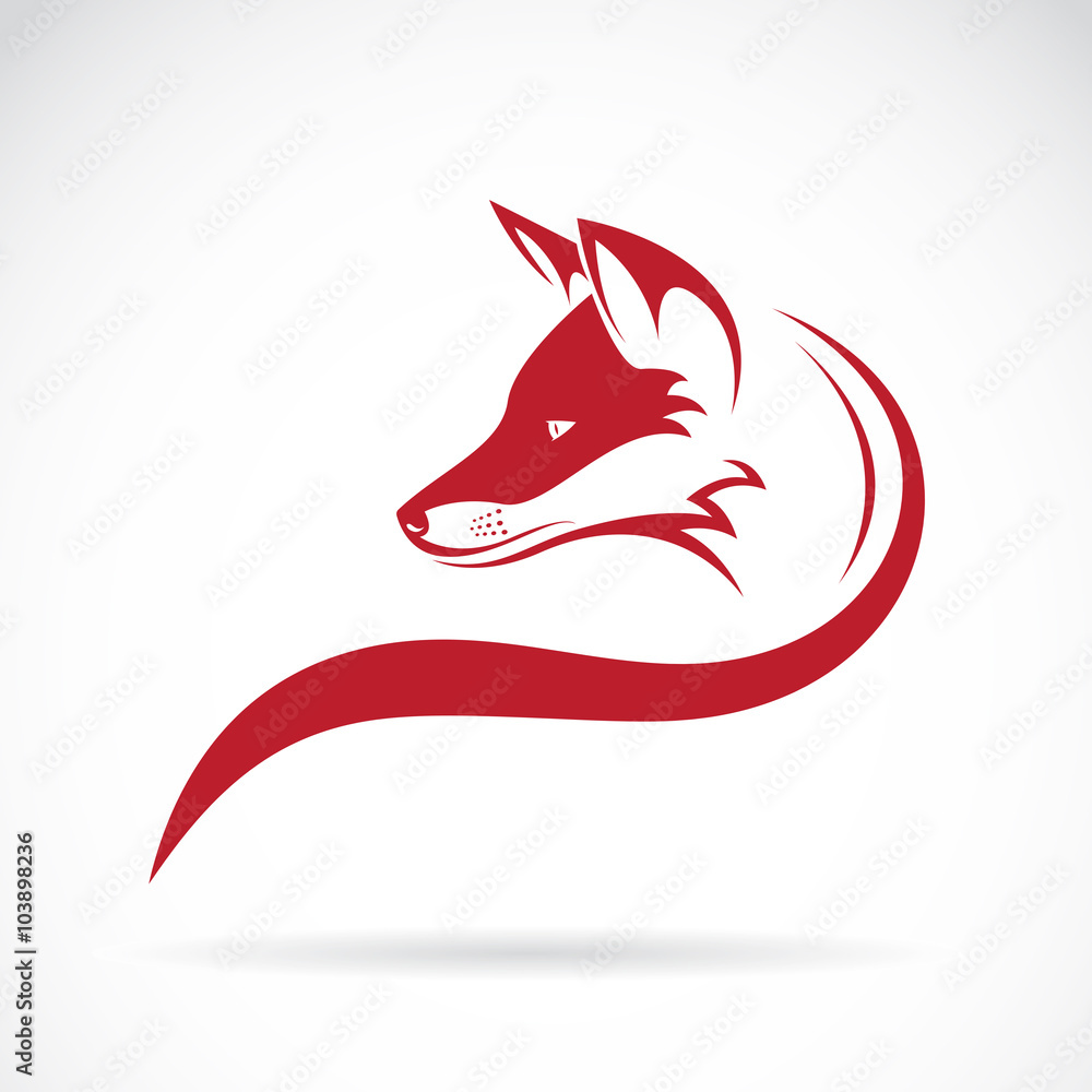 Vector of a fox head on white background. Animals. - obrazy, fototapety, plakaty 